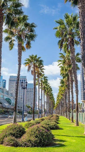 San Diego Wallpaper