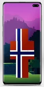 Flag Skin for Minecraft