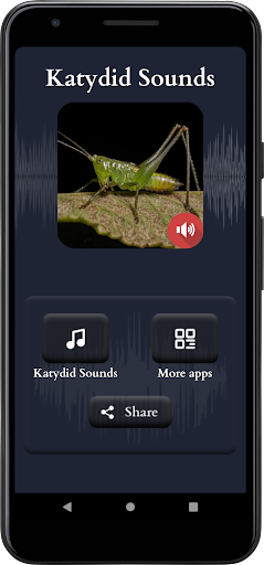 Katydid Sounds Screen 2