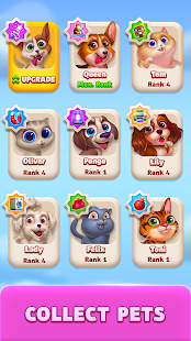 Solitaire Pets - Classic Game Screenshot