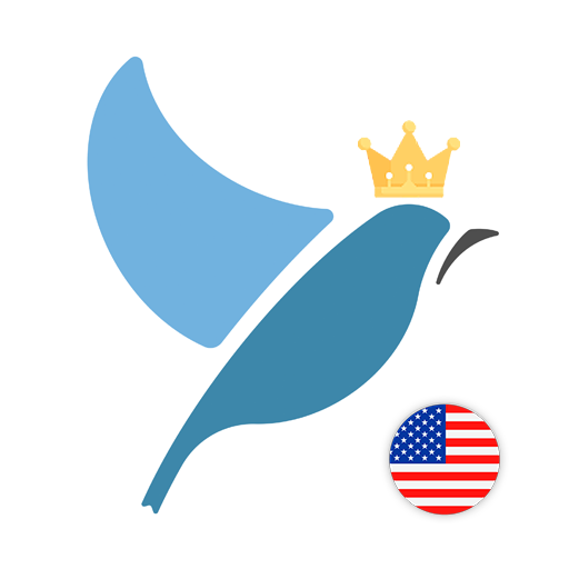 American English Test logo