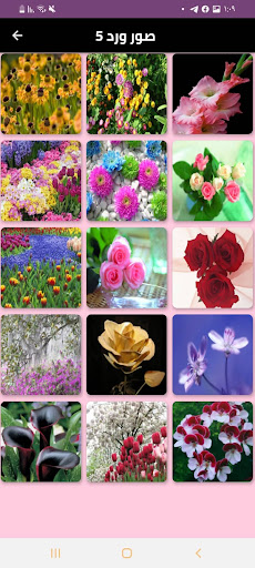 Android application صور ورد - الزهور screenshort