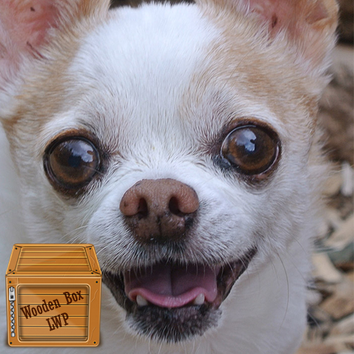 chihuahua dog wallpaper logo