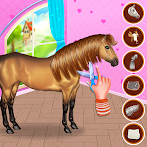 Horse Hair Salon