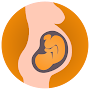 Pregnancy Tracker Baby Growth