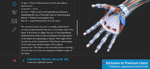 Screenshot of Visual Anatomy 3D - Human body