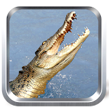 Wild Crocodile Simulator Free icon