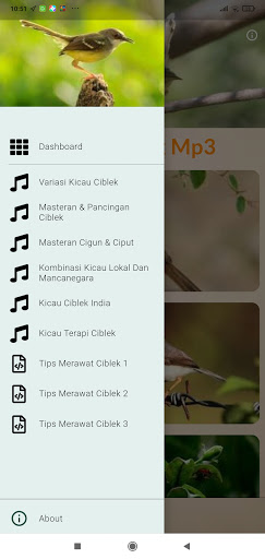 Android application Masteran Ciblek Ngebren screenshort