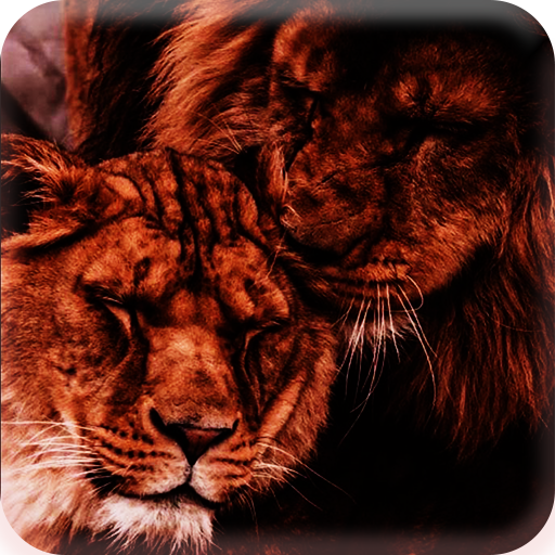singa penyayang wallpaper epic logo