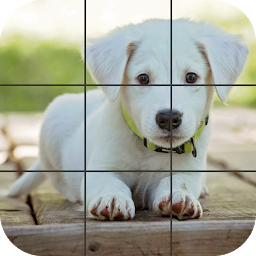 Icon image Puppies Jigsaw Puzzles