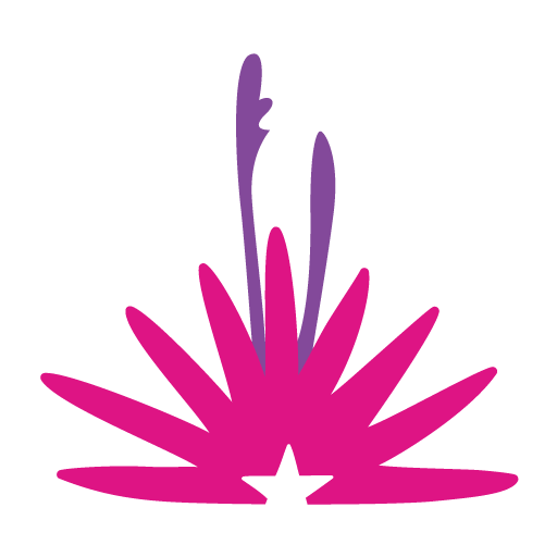 Visit El Paso logo