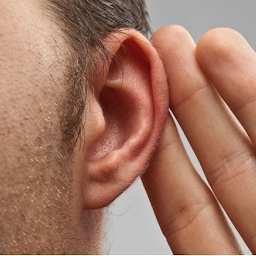 Icon image Sm@rtHearing