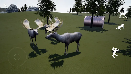 Moose Simulator 3D