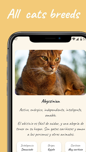 Your perfect cat Screen 2