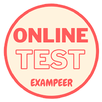 Online Test Series by Exampeer
