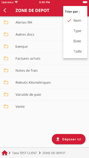 DEA CONSEILS Screen 3