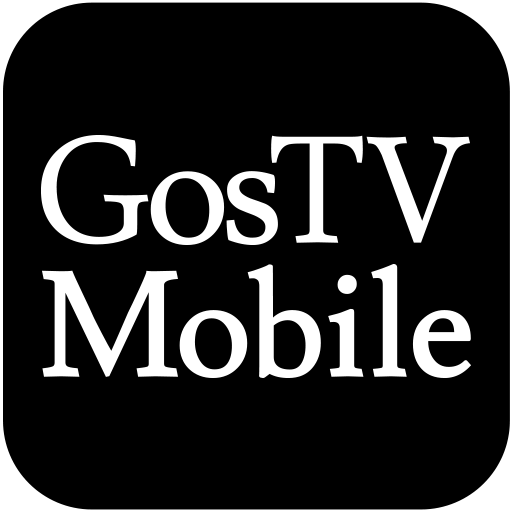Gostvモバイル Apps Bei Google Play