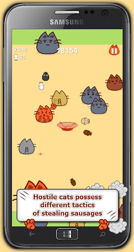 Cat fight. For food and glory