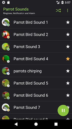 Parrot sounds! Screen 3