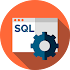 Learn SQL and SQL Server3.0