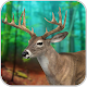 Jungle Deer Hunting : Season 1 Descarga en Windows