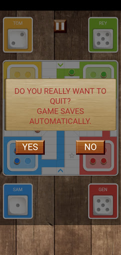 Ludo Smart Screen 2