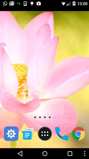 lotus video wallpaper Screen 2