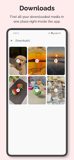 Screenshot of Video Downloader For Pinterest