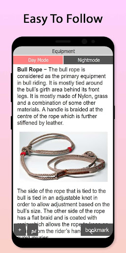 Easy Bull Riding Tutorial Screen 2