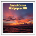 Cover Image of Herunterladen Sunset Ocean Wallpapers HD 1.0 APK