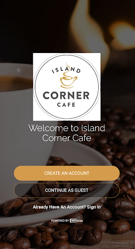 Vista previa de la aplicación