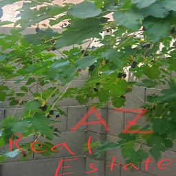 JZA AZ Real Estate: Download & Review