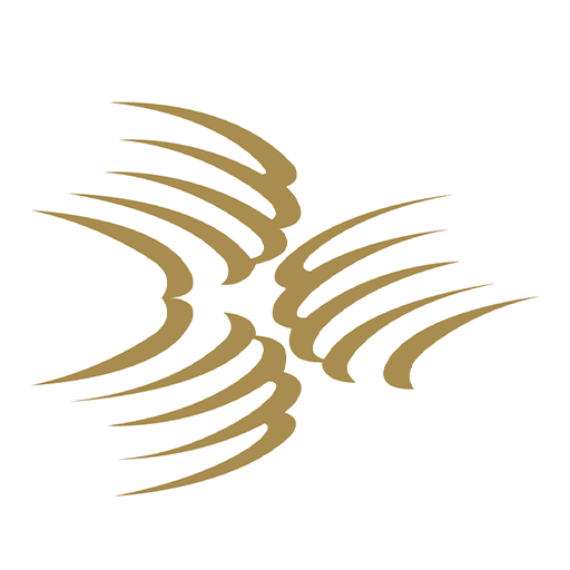 Top Physio logo