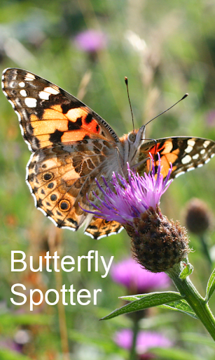 Android application Butterfly Spotter screenshort