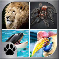 Memory Match - Jungle Animals
