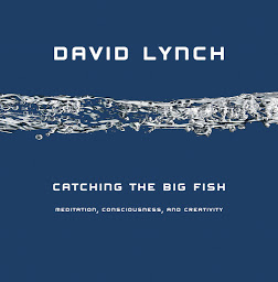 Symbolbild für Catching the Big Fish: Meditation, Consciousness, and Creativity
