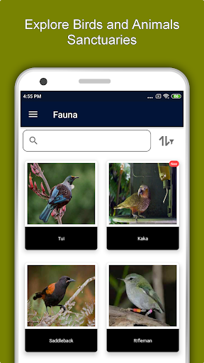 Screenshot of Christchurch Travel & Explore,