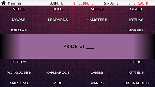 Collective Noun Quiz