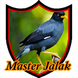 Master Kicau Jalak Campursari icon