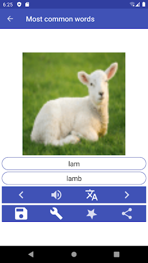 Android application Learn Dutch screenshort