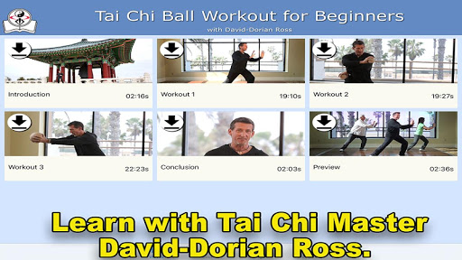 Tai Chi Ball Beginner