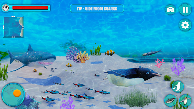 #3. Arctic Penguin Bird Simulator (Android) By: Doorment Games