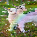 Cover Image of Download Goat Wallpaper  APK