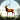 Jungle Deer Hunting