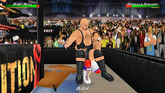 The Wrestling Game - Sport browser games