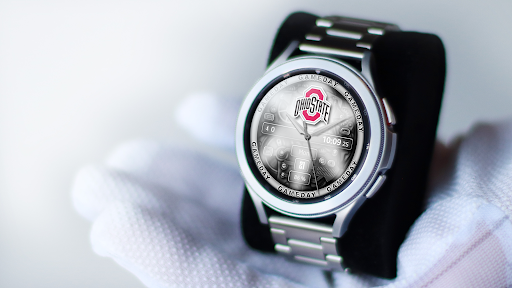 OHIO STATE BUCKEYES GAMEDAY WA