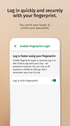 Screenshot of Citizens Access