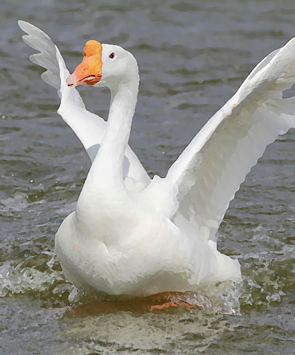 Android application Goose and Geese Sound screenshort