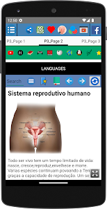 Órgão sexual Anatomia