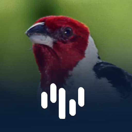 Galo De Campina Professor logo